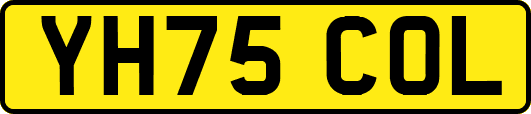 YH75COL