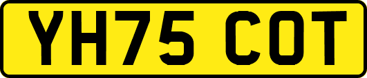 YH75COT