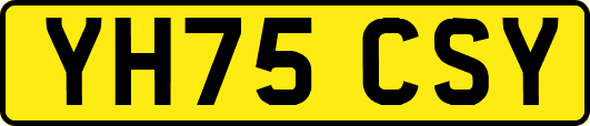 YH75CSY