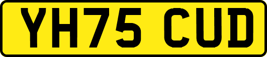 YH75CUD