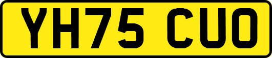 YH75CUO