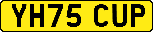 YH75CUP
