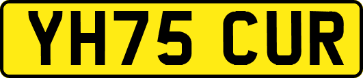 YH75CUR