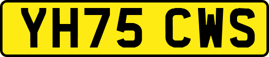 YH75CWS