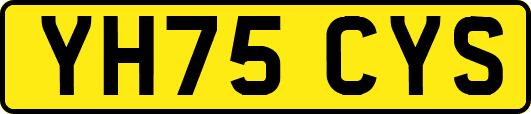 YH75CYS