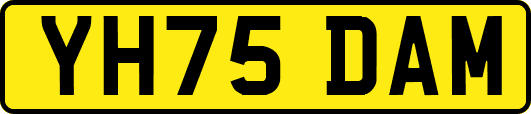 YH75DAM