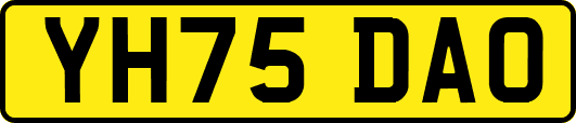 YH75DAO