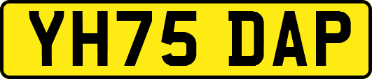 YH75DAP