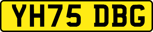 YH75DBG