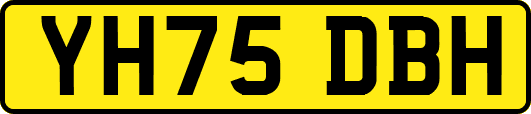 YH75DBH