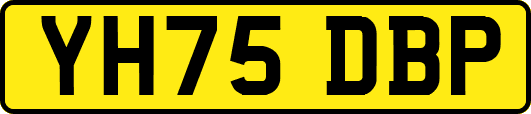YH75DBP