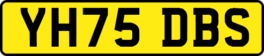 YH75DBS