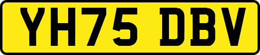 YH75DBV