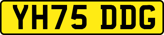 YH75DDG