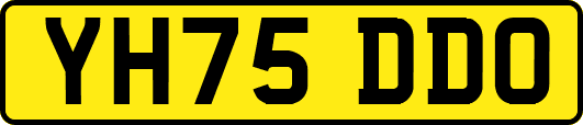 YH75DDO