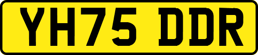 YH75DDR