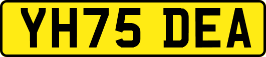 YH75DEA