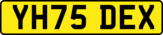 YH75DEX