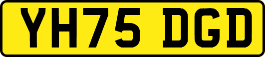 YH75DGD
