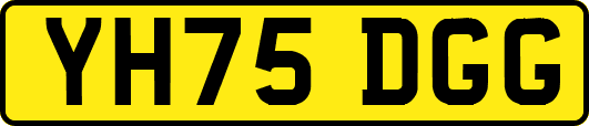 YH75DGG