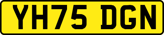 YH75DGN