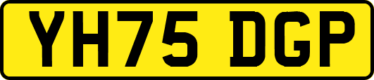 YH75DGP