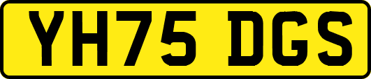 YH75DGS