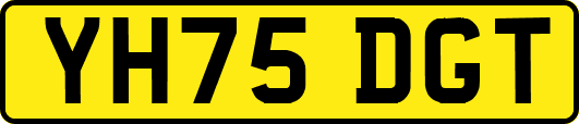 YH75DGT