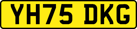 YH75DKG