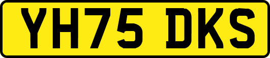 YH75DKS