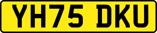 YH75DKU