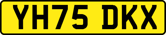 YH75DKX
