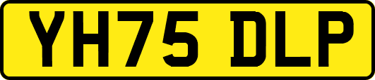 YH75DLP