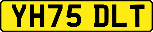 YH75DLT
