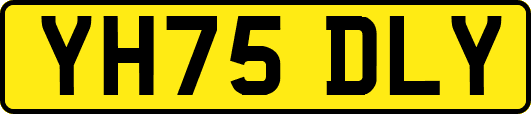YH75DLY