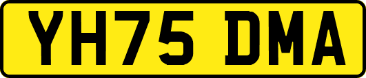 YH75DMA