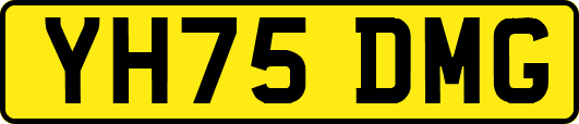 YH75DMG
