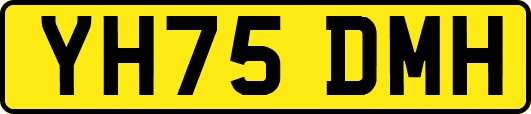 YH75DMH
