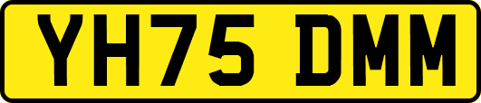 YH75DMM