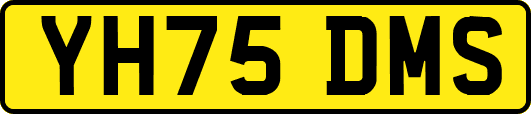 YH75DMS