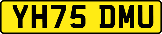 YH75DMU