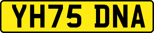 YH75DNA