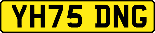 YH75DNG