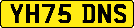 YH75DNS