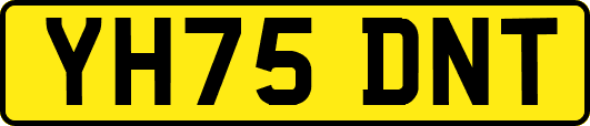 YH75DNT