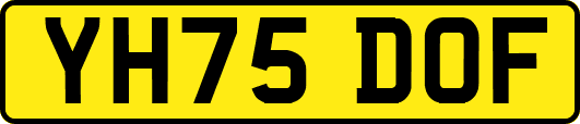 YH75DOF