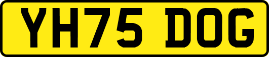 YH75DOG
