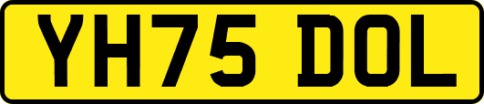 YH75DOL