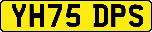YH75DPS