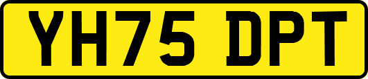 YH75DPT